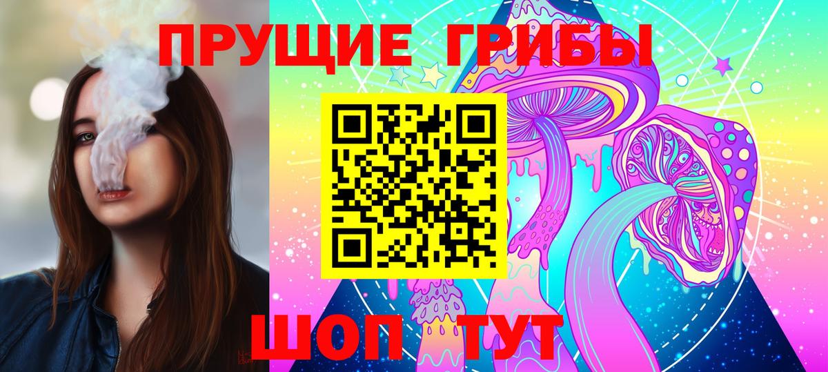 Псилоцибиновые грибы GOLDEN TEACHER  Псилоцибиновые грибы мицелий  Зеленогорск  Вход с VPN 