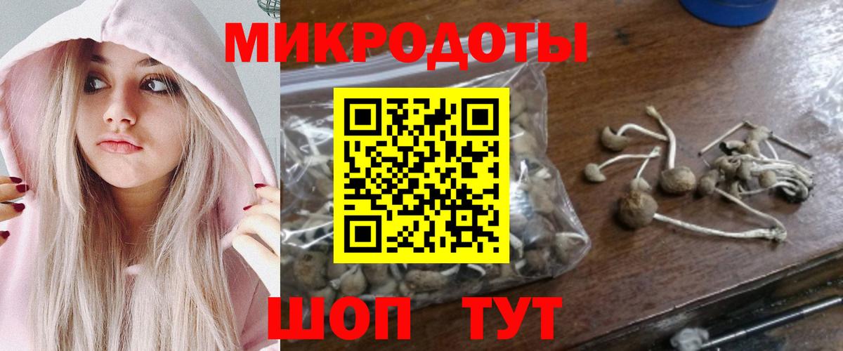 Псилоцибиновые грибы Cubensis Зеленогорск